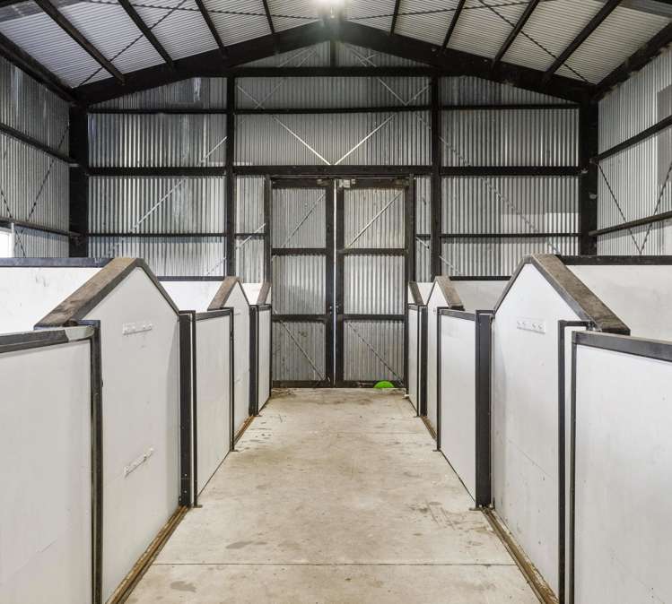 1235 Omanawa Road Omanawa_31