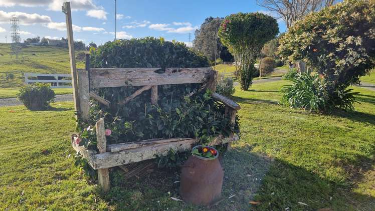 303 Port Albert Road Wellsford_28