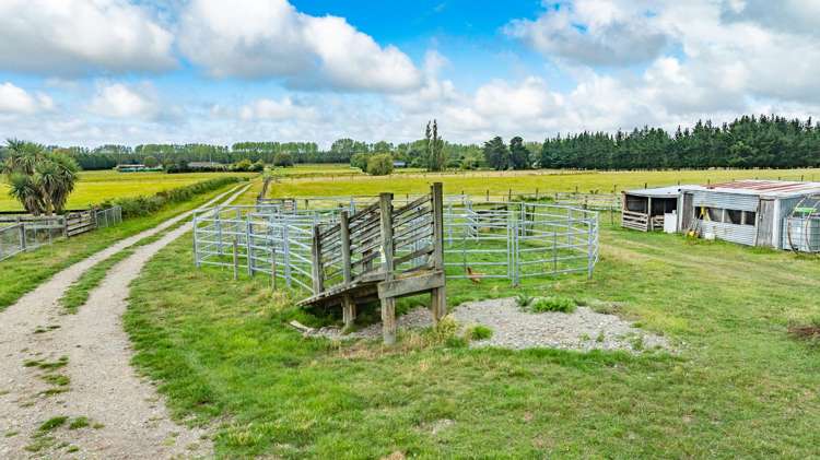 129 Lower Sefton Road Ashley_22