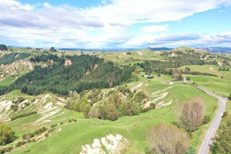 643 Glengarry Road Puketapu_5