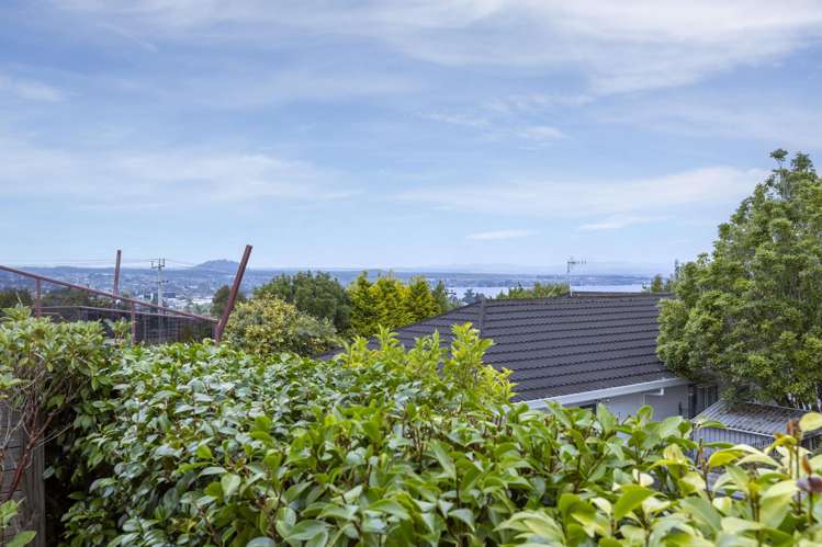 17 Whetu Place Nukuhau_3