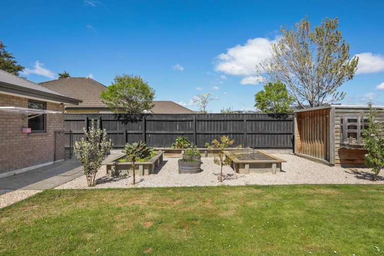 162 Taylor Pass Road Witherlea_17