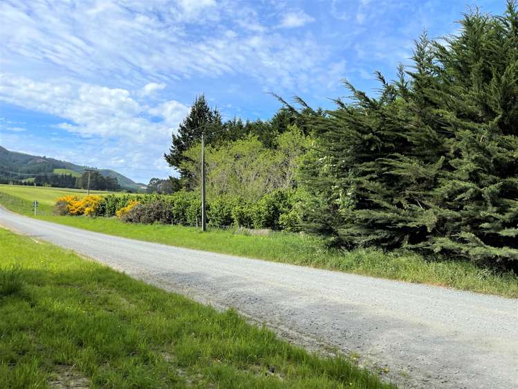 25 Newport Street Milton_8