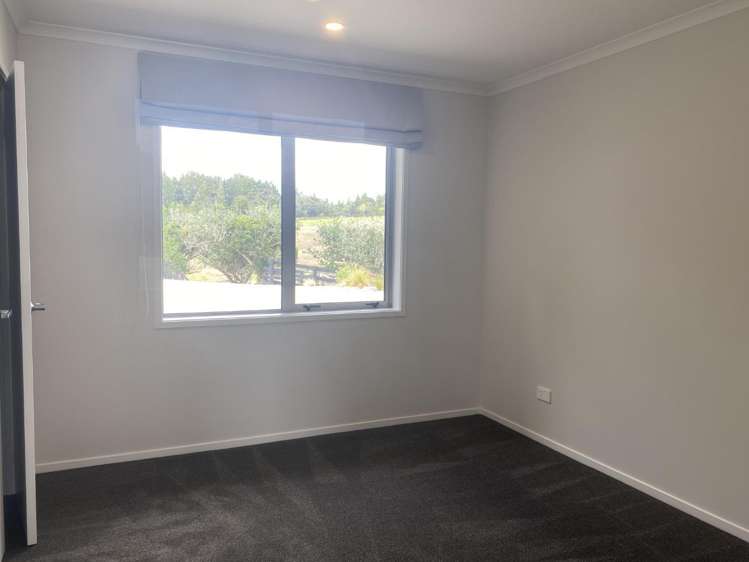 274 Whitehills Road Dairy Flat_17