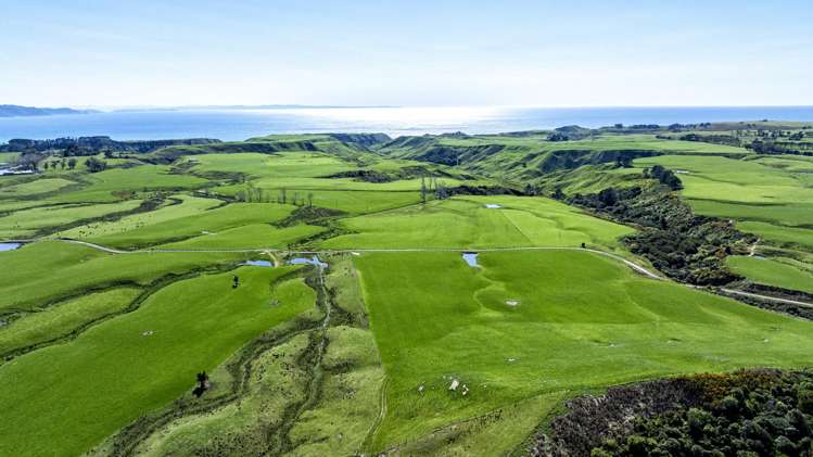 790 Mahia East Coast Road Māhia_1