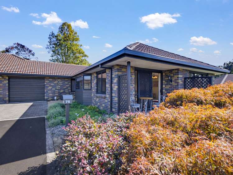 75/2 seales road Morrinsville_26