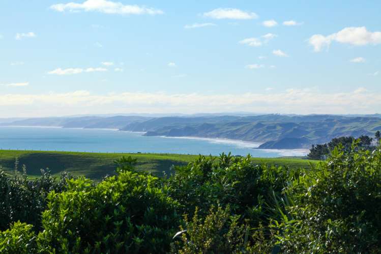 668 Te Hutewai Road Raglan_0