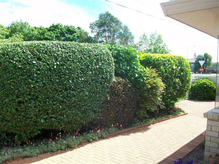 59A Ngatai Road 1126_10