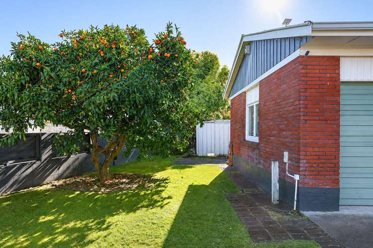 1 Thorpe Street Fairview Downs_17