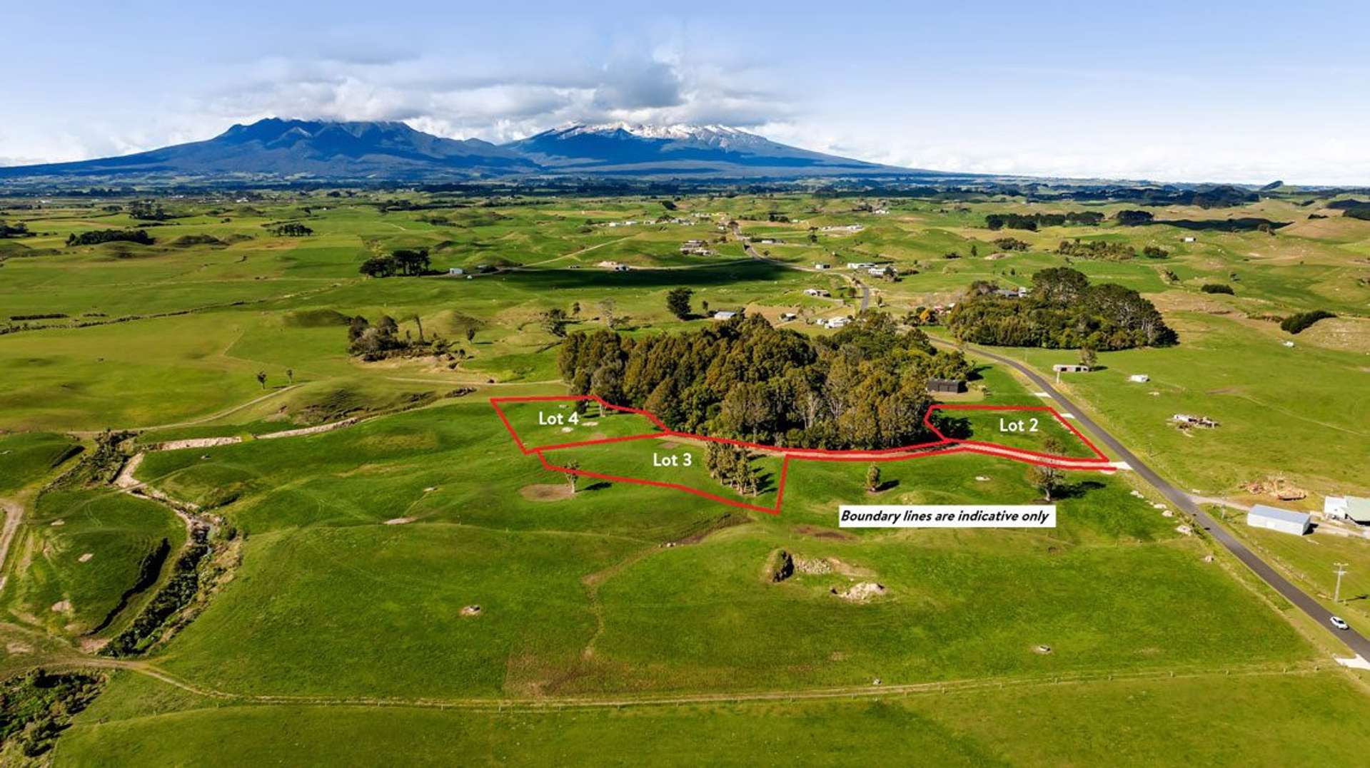 183 Warea Road Warea_0