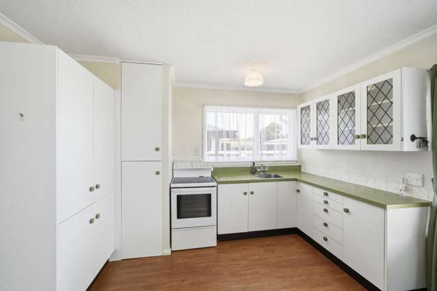 53 Boston Avenue Hornby_3