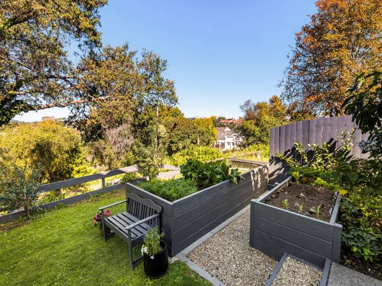 341 Devonport Road Tauranga Central_23