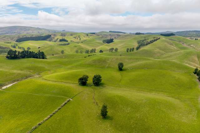 299 Domett Road Domett_4