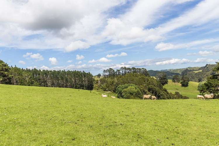 430 Krippner Road Puhoi_15
