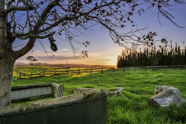 231 Nixon Road Taupaki_13