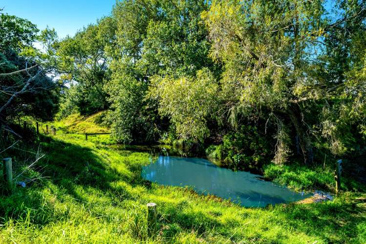 27 Codlin Road Waiuku_5