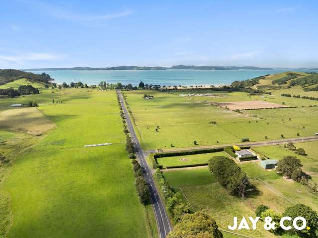 #THEDAY New Year, New Lifestyle?