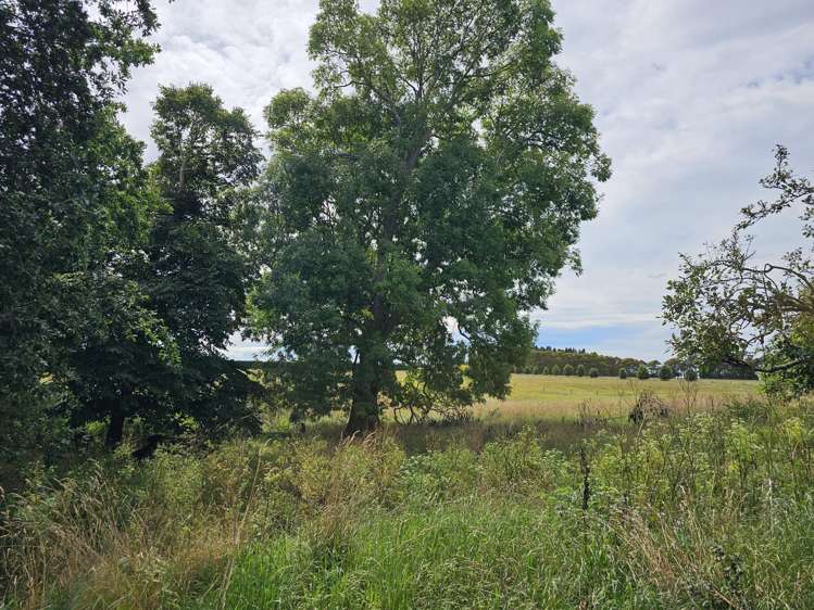 2799 Tram Road West Eyreton_7