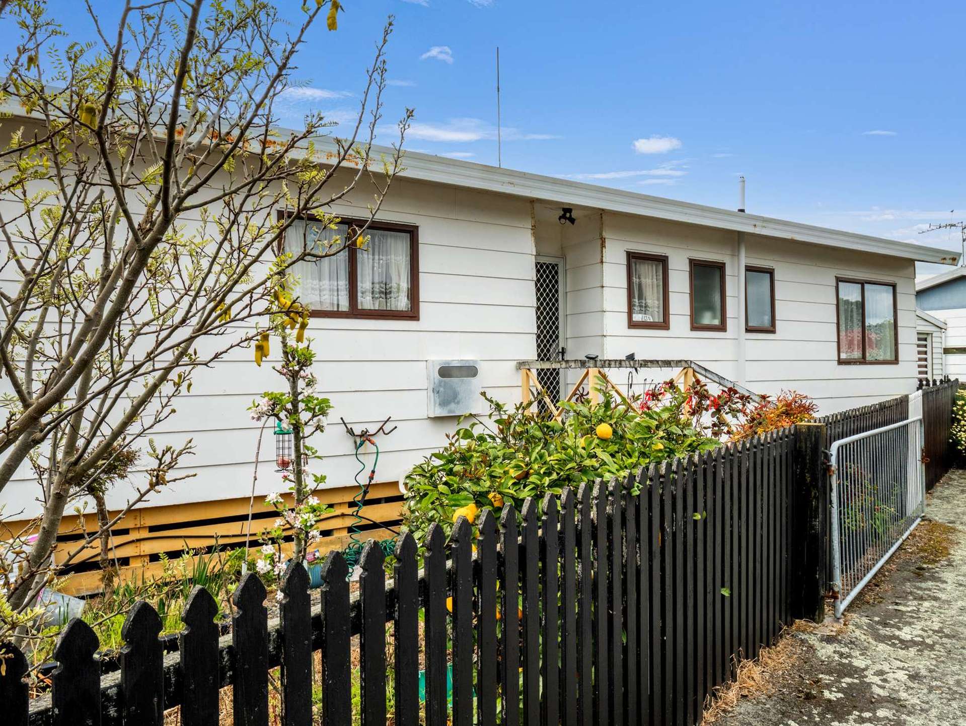1/41A Rimu Street Gonville_0