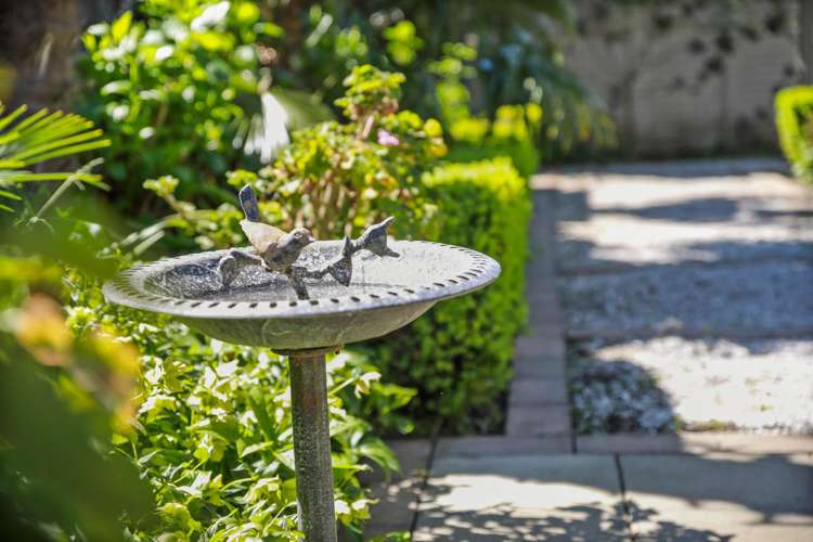 10 Orchard Lane Springlands_12