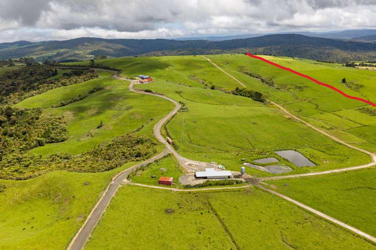 89 Jones Road Donnellys Crossing_44