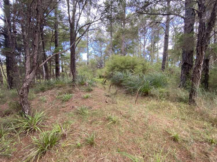 2 Pupu Valley Road Takaka_9