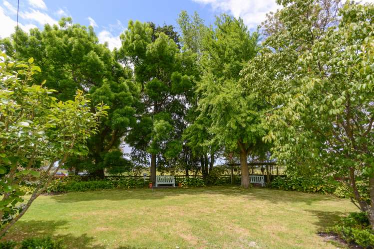 61 Johns Road Jervoistown_23