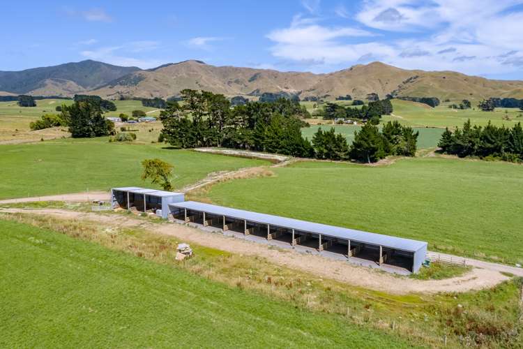 Parkville Road Eketahuna_7