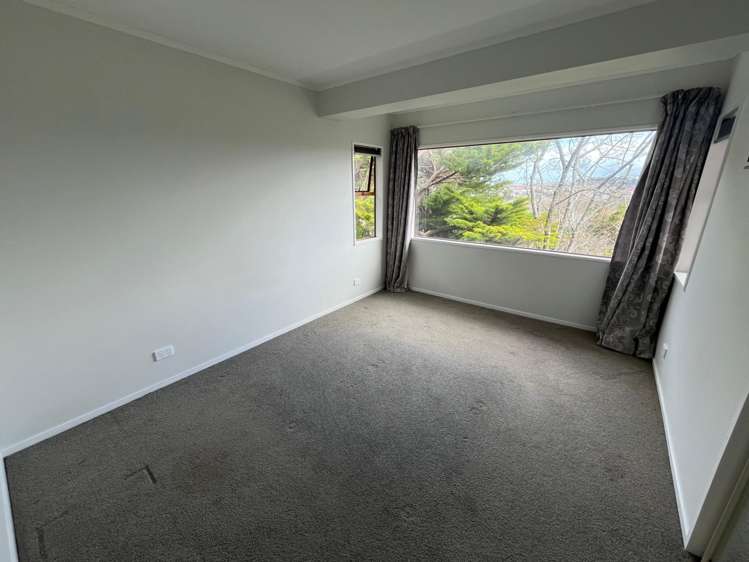 11 Wairere Road Bastia Hill_9
