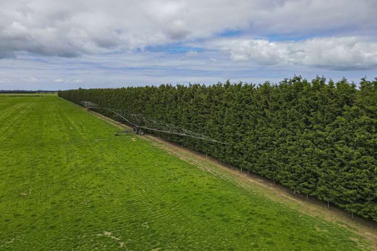 Stranges Road Ashburton_12