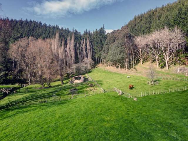 Kaukatea Valley Road Okoia_3