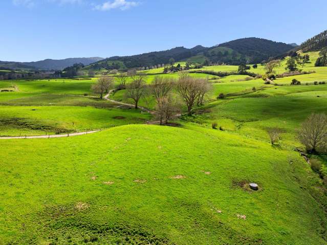 - Samson Road Waihi_2