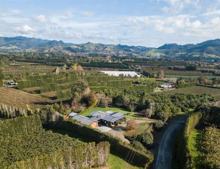 113 Martray Road Hauraki Surrounds_19