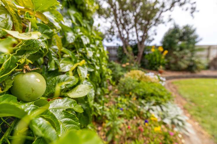 55 Barrett Road Whalers Gate_19