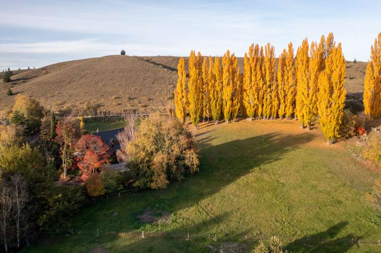 545 Dunstan Road Alexandra_22