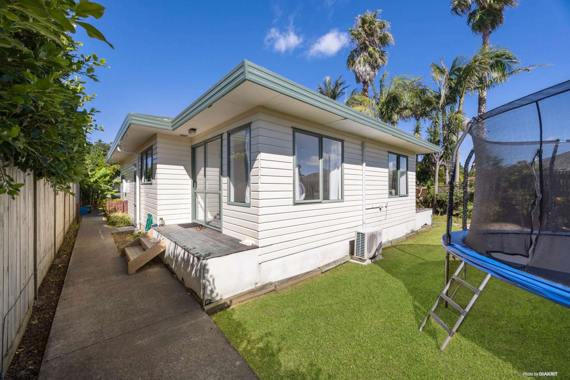 2 Francis Skinner Orewa_0