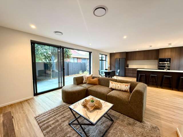  20 Ward Street Addington_2