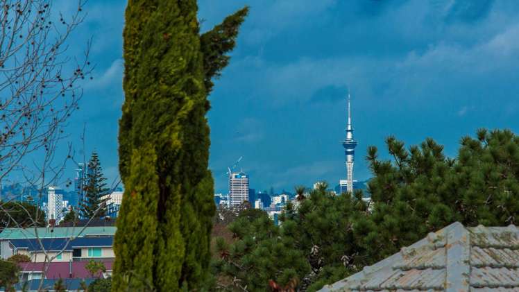 1/8 Varlene Terrace Forrest Hill_14