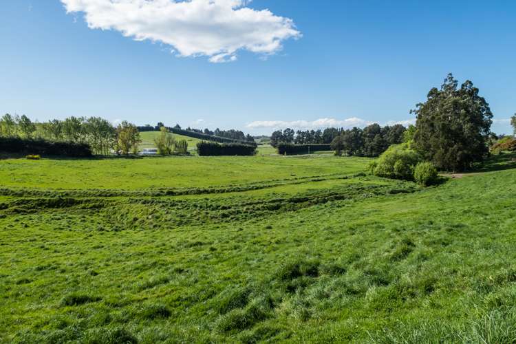 35 Rocky Hundreds Road Fairview_5