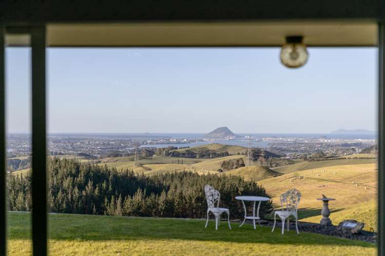 565c Upper Ohauiti Road Ohauiti_7