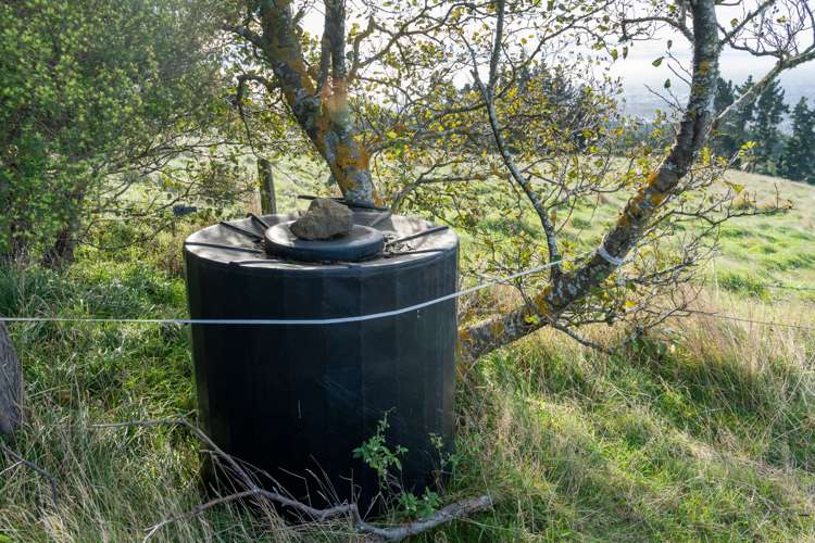 231 Huntsbury Avenue Cashmere_14