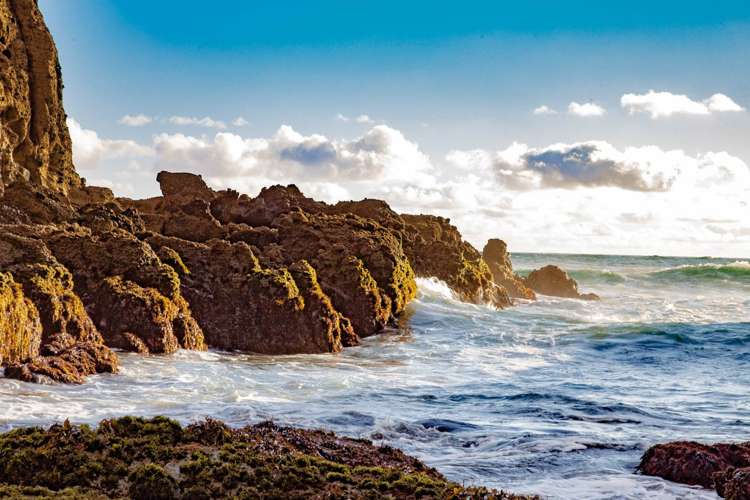 276 Bethells Road Bethells Beach_26