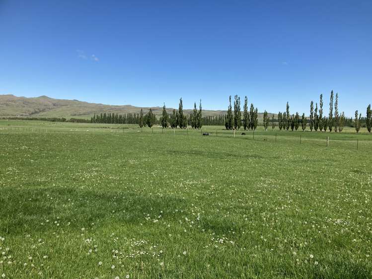 410 Ngapuna Road Middlemarch_18