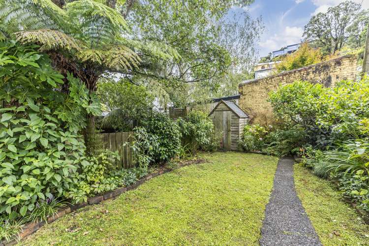 127 Aro Street Aro Valley_6