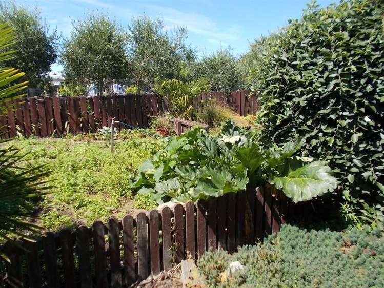 56 Harris Street Pleasant Point_35