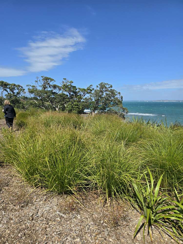 108 Ahuru Drive Gulf Harbour_1