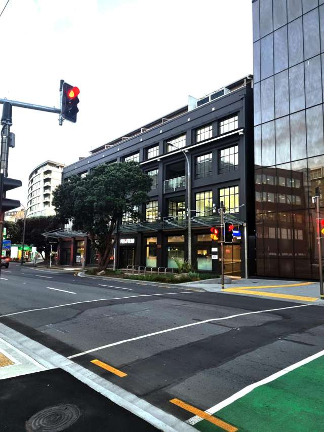 181 Wakefield Street Te Aro_2