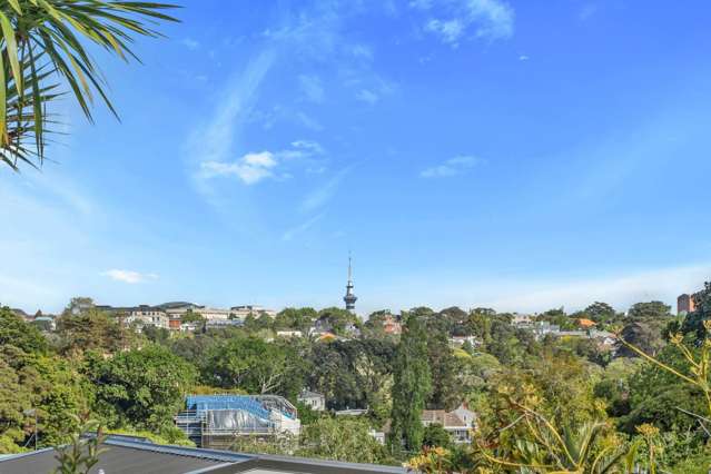 17b Wiles Avenue Remuera_2