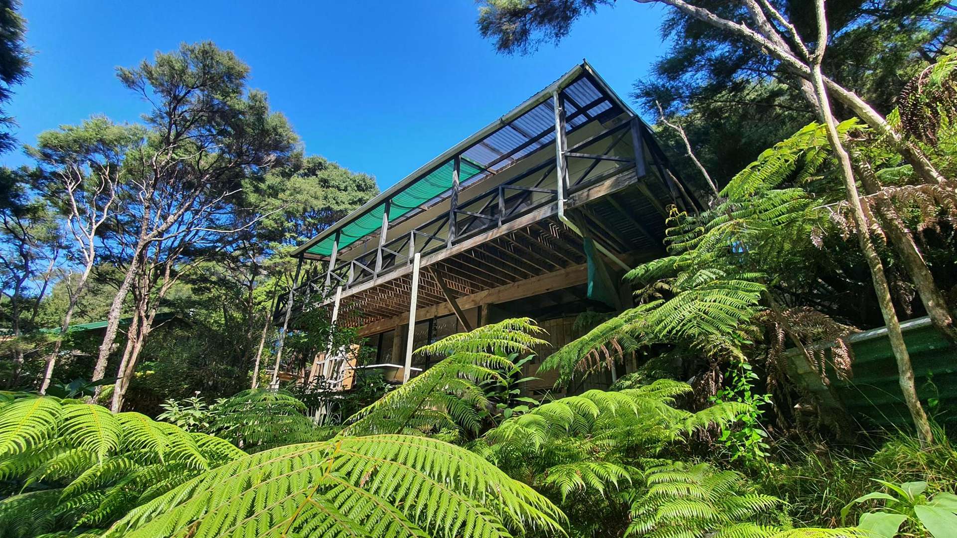 48 Schoolhouse Bay Road Kawau Island_0