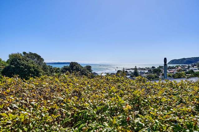 20 Grays Road Plimmerton_2